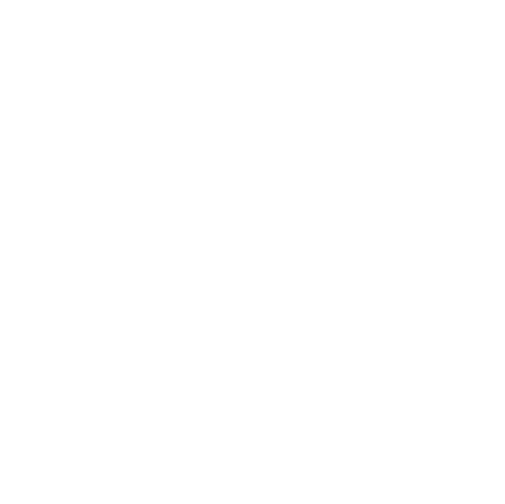 Original Solex Club · 80 ans · 1946–2026